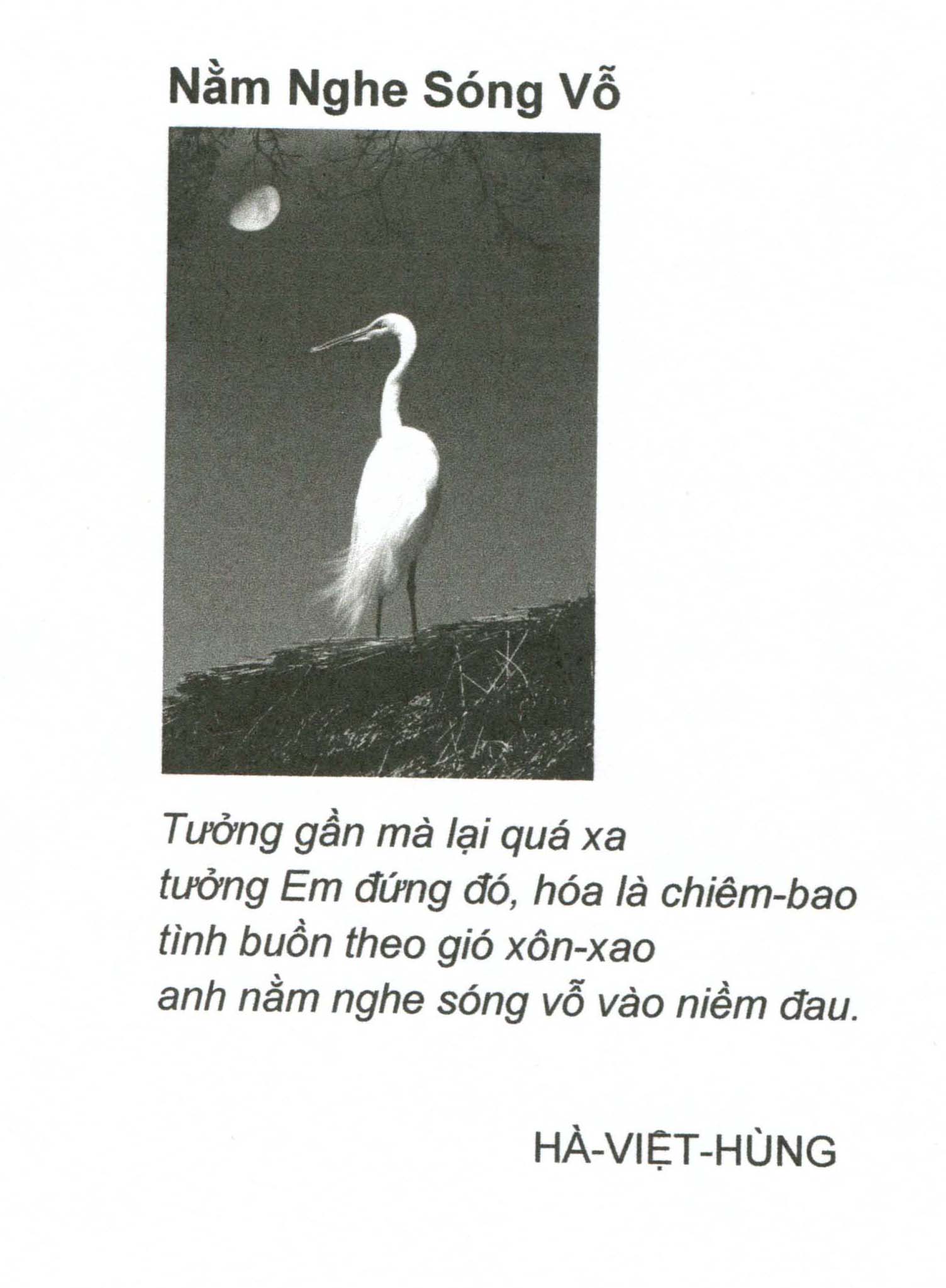 nam nghe song vo