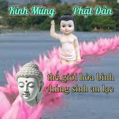 KinhMungPhatDan TKD
